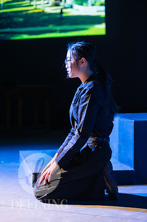 Loomis_TNTSIJ__046