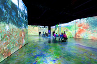 05-29-25 Beyond Monet Van Gogh Final