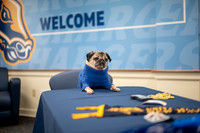 Doug_The_Pug_003