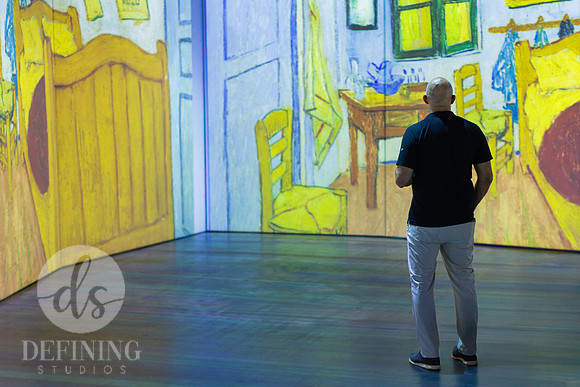 Beyond_Monet-VanGogh-274