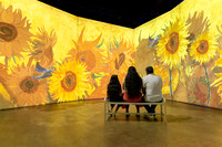 Beyond_Monet-VanGogh-Final-119