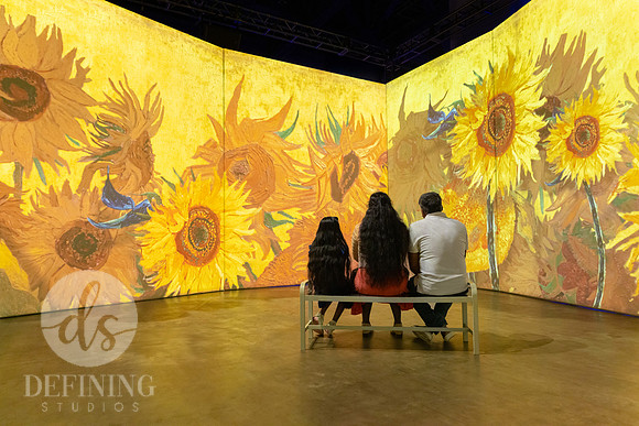 Beyond_Monet-VanGogh-Final-119