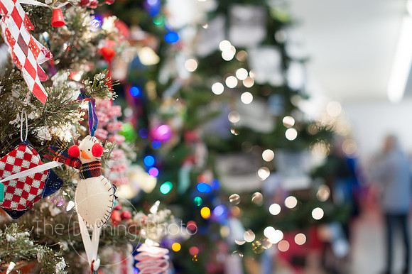 Festival_Of_Trees_092