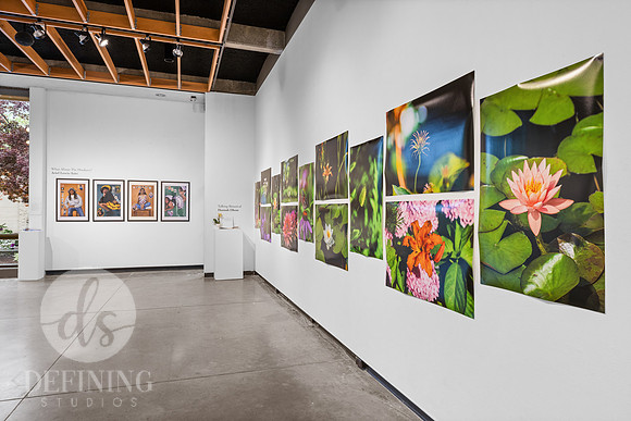 BFA_Thesis_Exhibition_2-101