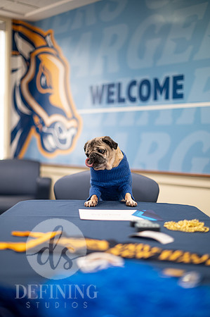 Doug_The_Pug_014