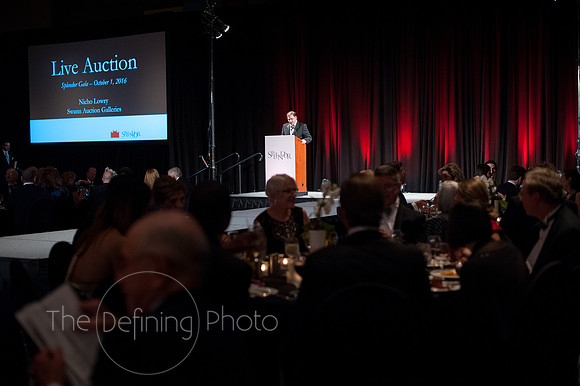 Splendor_Gala_282
