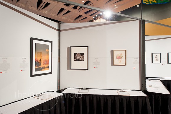 Splendor_2013_036
