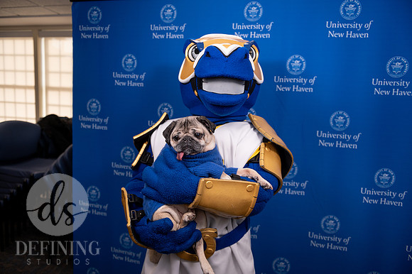 Doug_The_Pug_035