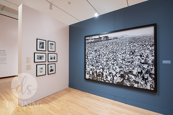 Feb_2025_Galleries_096