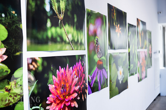 BFA_Thesis_Exhibition_2-126