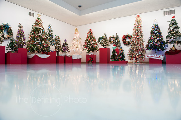 Festival_Of_Trees_033