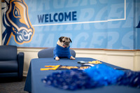 Doug_The_Pug_002