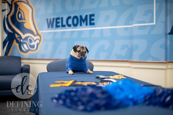Doug_The_Pug_002