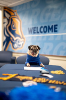 Doug_The_Pug_012