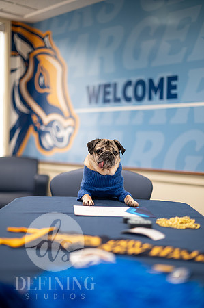 Doug_The_Pug_012