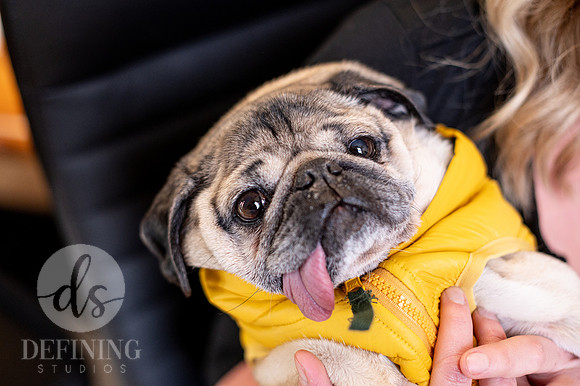 Doug_The_Pug_124