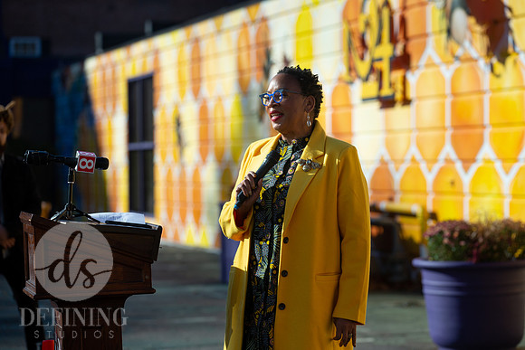 Mural_Unveiling-106