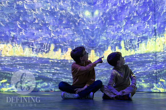 Beyond_Monet-VanGogh-PROOFS-074