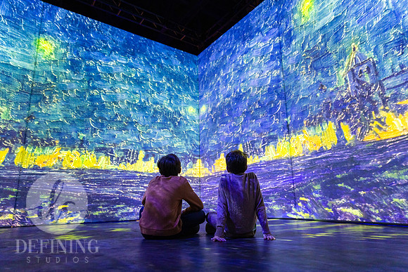 Beyond_Monet-VanGogh-068