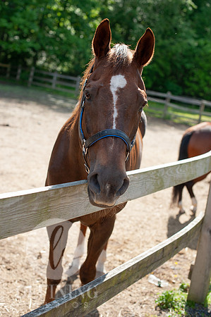 Keney_Park_Tour_119