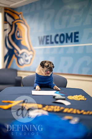 Doug_The_Pug_007