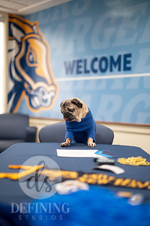 Doug_The_Pug_015