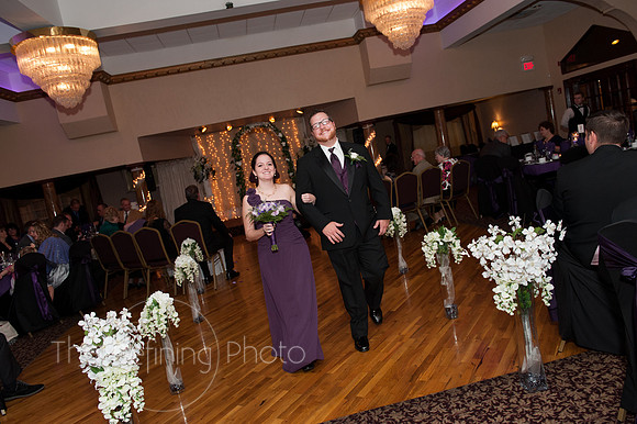 Sheeler_210