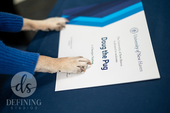 Doug_The_Pug_016