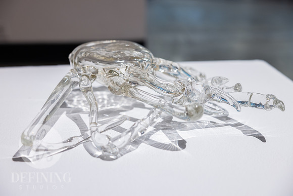 BFA_Thesis_Exhibition_2-148