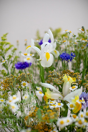 Fine_Art&Flowers_166