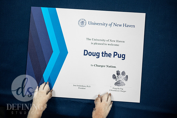 Doug_The_Pug_023