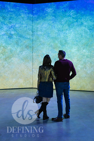 Beyond_Monet-VanGogh-342