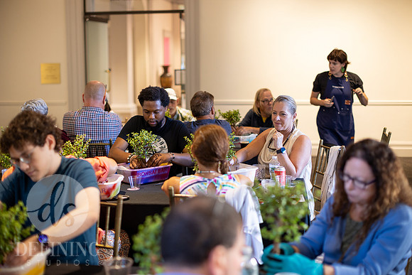 Bonsai_and_Brew_108
