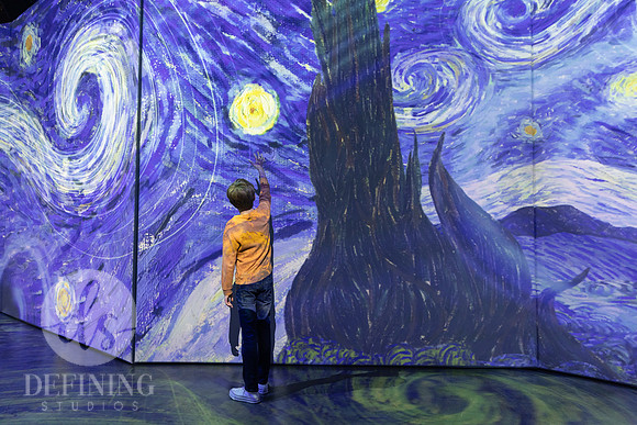 Beyond_Monet-VanGogh-PROOFS-127