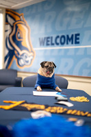 Doug_The_Pug_011