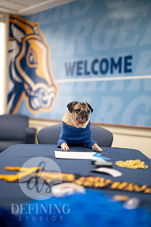 Doug_The_Pug_011