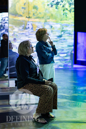 Beyond_Monet-VanGogh-022