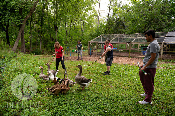 Summer_Program_D2_029