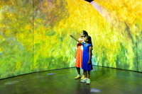 Beyond_Monet-VanGogh-035