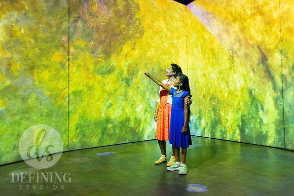 Beyond_Monet-VanGogh-035