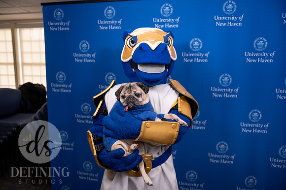Doug_The_Pug_037