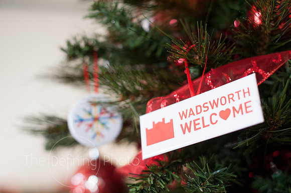Womans_Committee_Tree_Decorationg_60