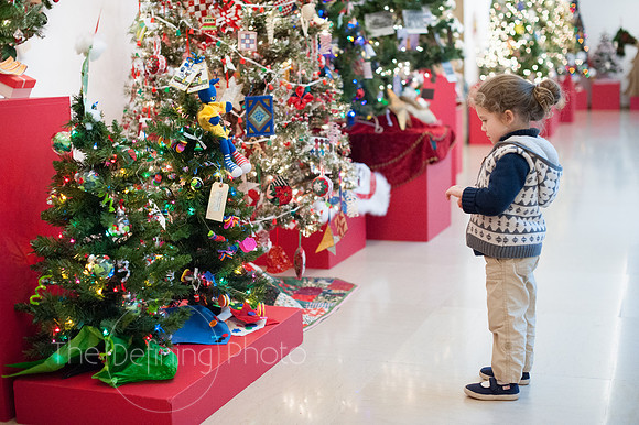 Festival_Of_Trees_096