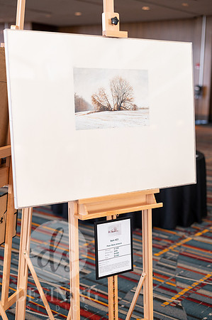 Wadsworth_Gala_028