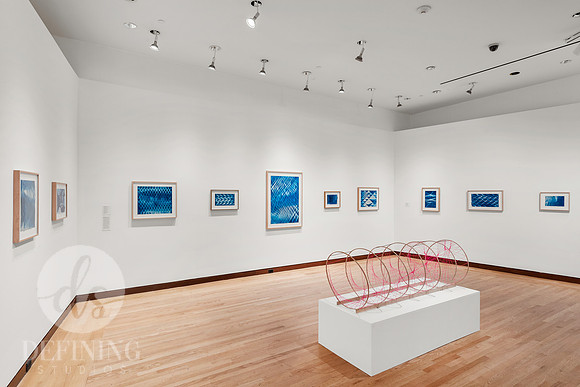 Feb_2025_Galleries_006