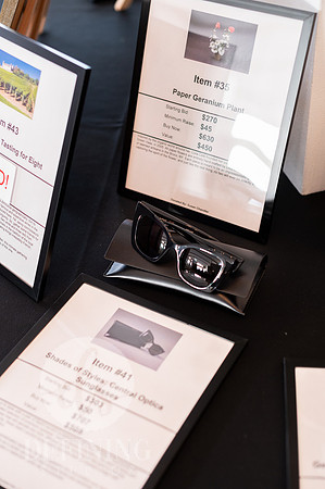 Wadsworth_Gala_057