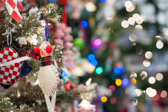 Festival_Of_Trees_093