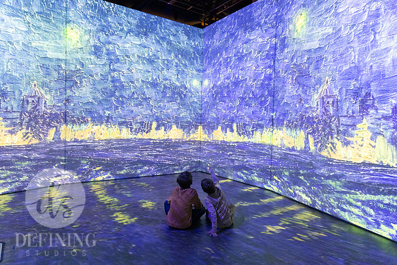 Beyond_Monet-VanGogh-PROOFS-069