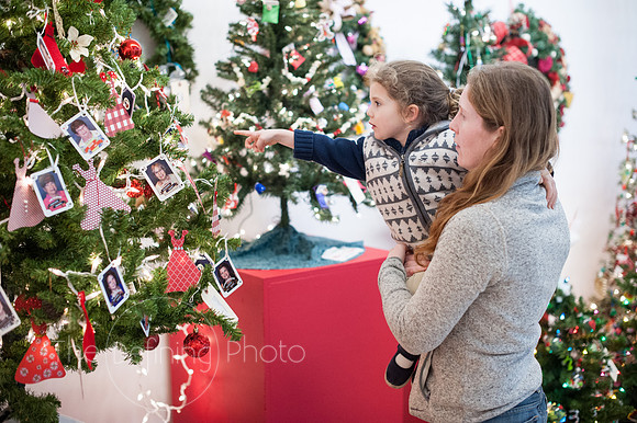 Festival_Of_Trees_098