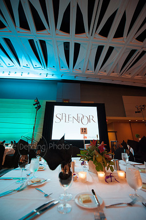Splendor_2013_050